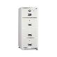 full image SAFES (BIF-400)