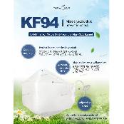 THE H ONE KF94 Yellow Sand, and Fine Dust Face Mask (Large)