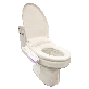 detail image2 LIGHTING THERAPY BIDET